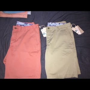 Tommy bahama shorts